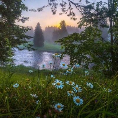 周公解梦_免费原版周公解梦大全查询 - 古途解梦官网